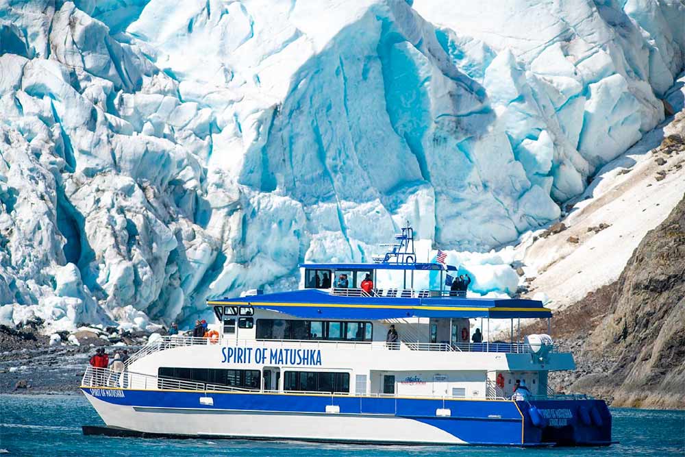 Glacier and Wildlife Cruise