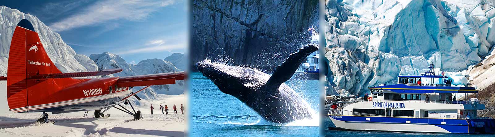 GATS-Archive-Glacier-Whale-Banners glacier landings, glacier cruises, whale watching
