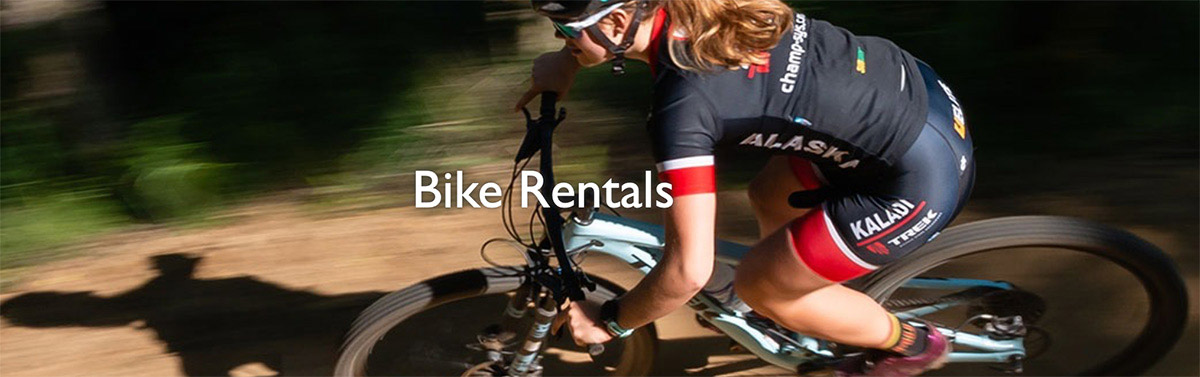 anchorage bicycle rental