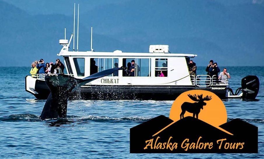 juneau whale watching