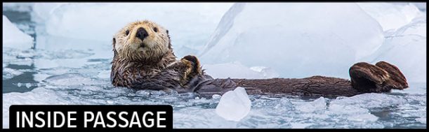 App-Regions-2025--App-Stack-Inside-Passage Alaska TourSaver App