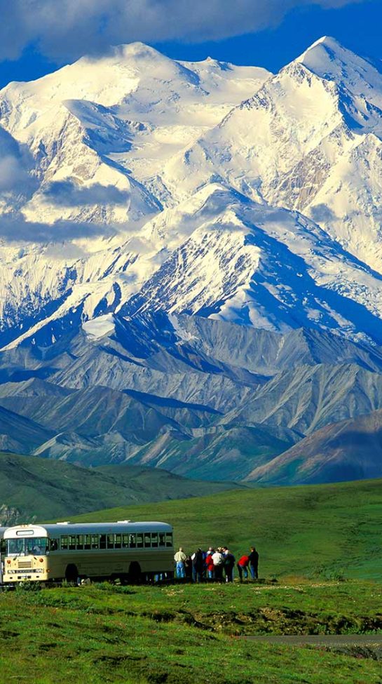 Denali-Buses-V