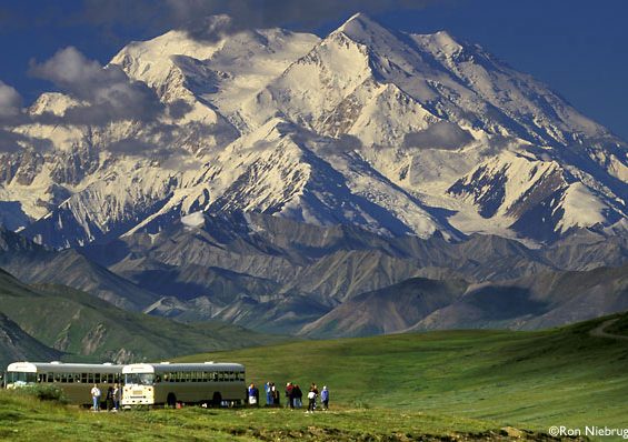 Denali-National-Park-Stoney-Dome