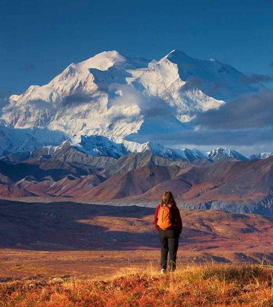 Denali-National-Park-Tours-A