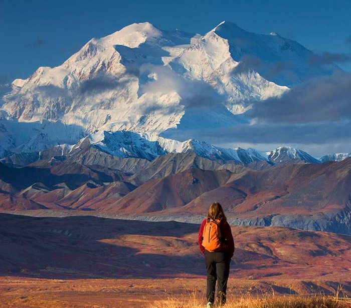 Denali-National-Park-Tours-A