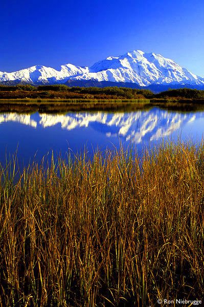 Denali-National-Park-ponds