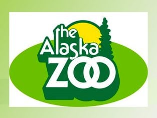 Alaska Zoo - Alaska Wildlife